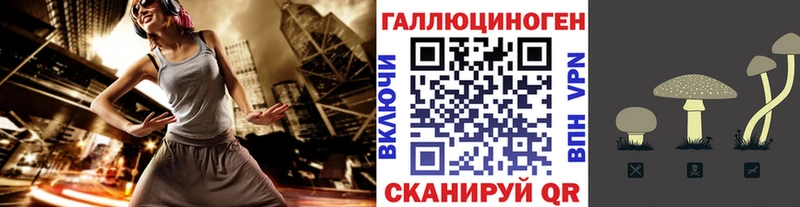 Псилоцибиновые грибы GOLDEN TEACHER  mega зеркало  Юрьевец 